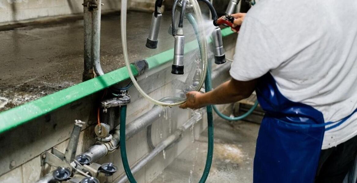 Mycie udojowych systemów – klucz do utrzymania wysokiej jakości mleka