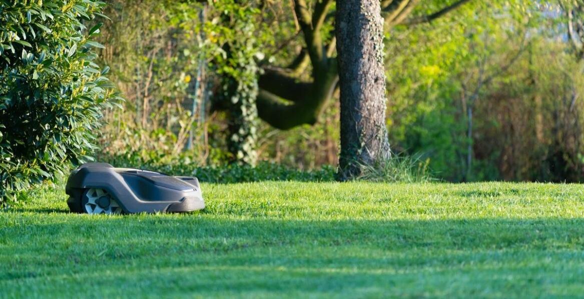 Akumulatorowe podkaszarki w ekologicznych projektach ogrodniczych