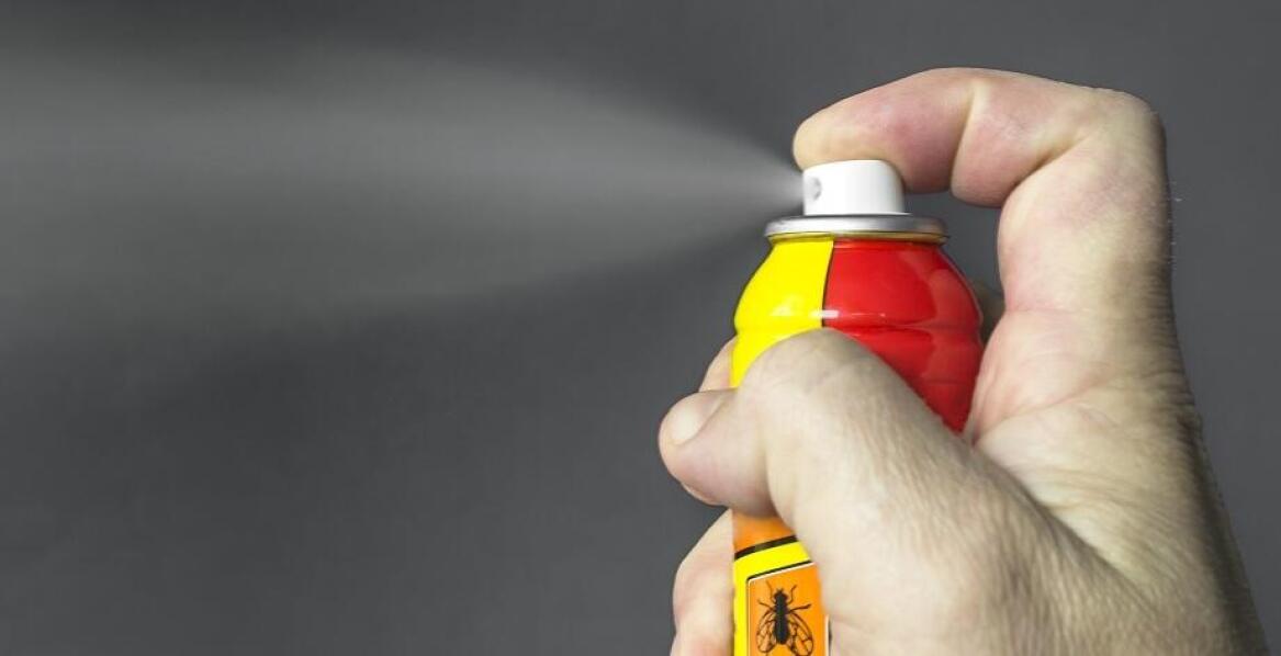 Jak środki do zwalczania insektów wpływają na oszczędność zasobów i czasu?