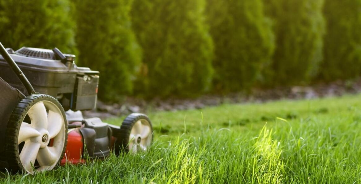 Jakie są kluczowe zalety spalinowych kosiarek?