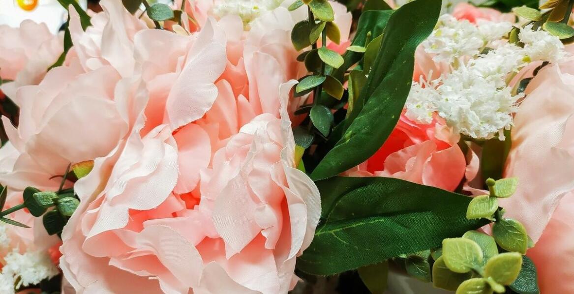 Wprowadzenie do hortensji vanille fraise na pniu: charakterystyka i zastosowanie