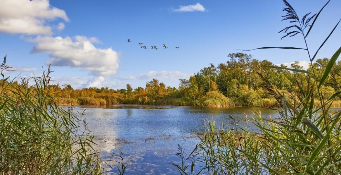 W jaki sposób raporty dotyczące oddziaływania na środowisko chronią wodne ekosystemy?
