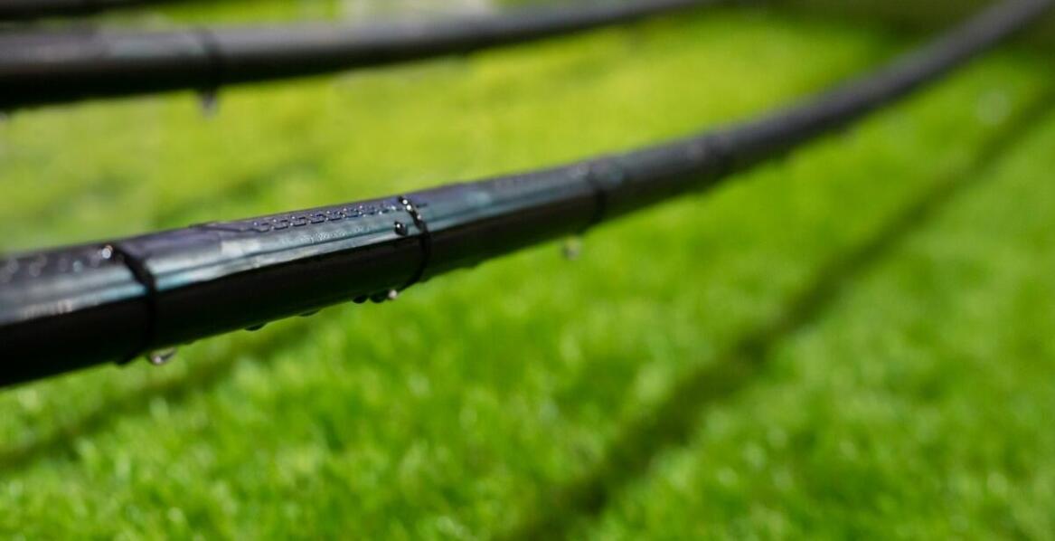 Innowacyjne rozwiązania w systemach nawadniania dla ogrodów we Wrocławiu