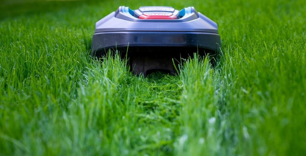 Jakie są potencjalne problemy z koszącymi robotami i jak je rozwiązać?