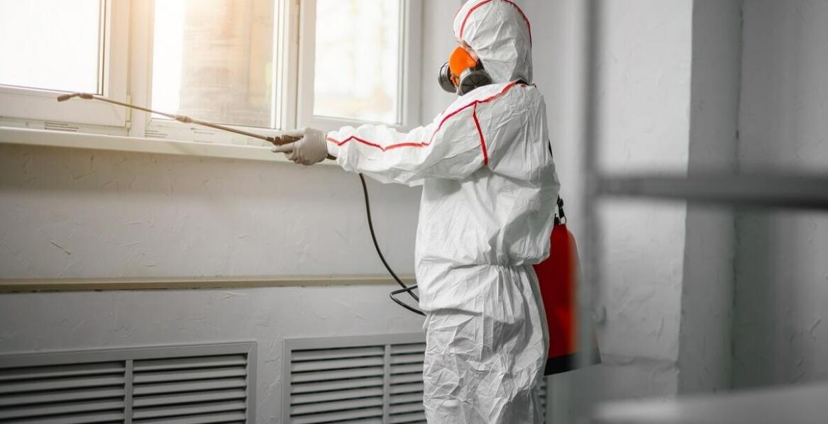 Zwalczanie gryzoni a ochrona zdrowia – jakie kroki podejmują specjaliści?