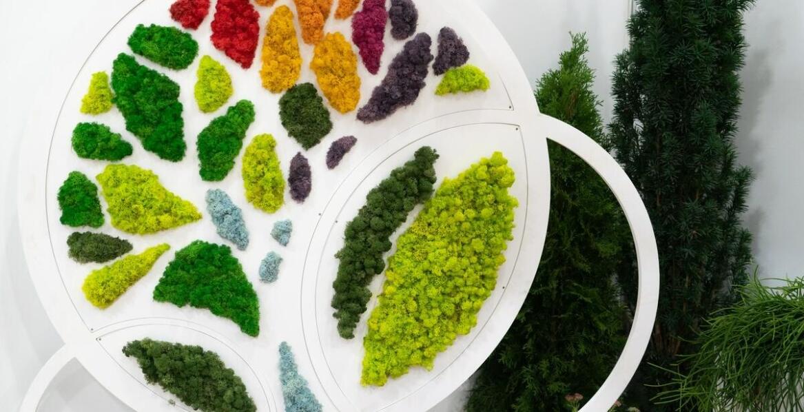 Znaczenie szczepionej katalpy na pniu 200 cm w edukacyjnych projektach ogrodniczych