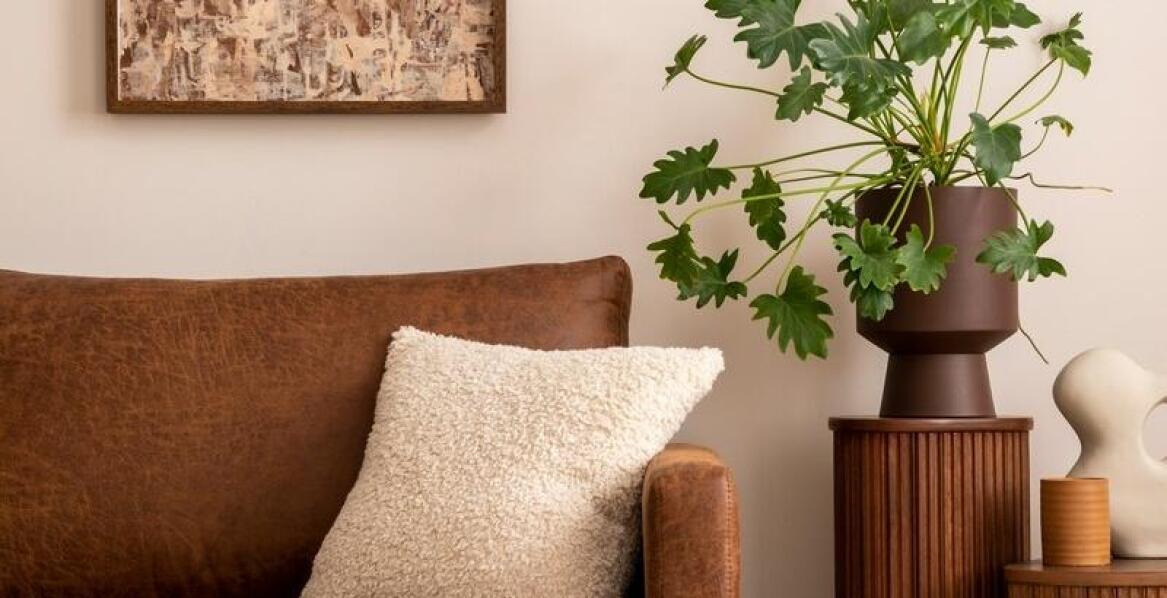 Wpływ renowacji skórzanych mebli na wartość nieruchomości