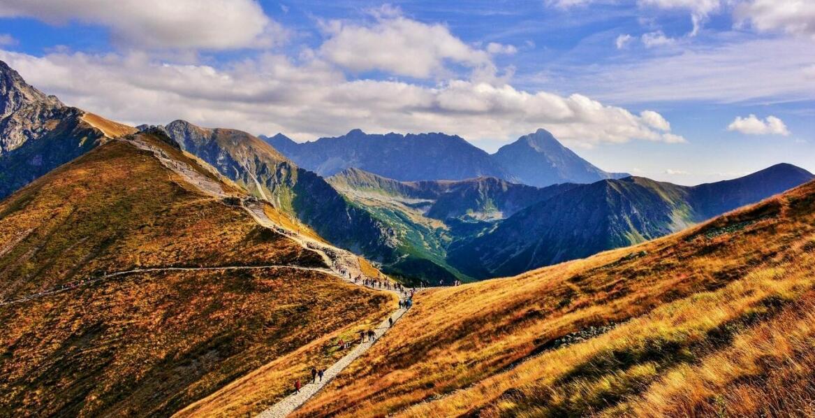 Jak transport w Krynicy-Zdroju obsługuje transfery na lotnisko?