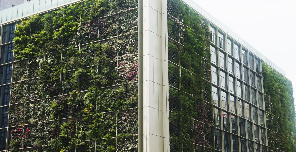 Czy żywe ściany poprawią klimat wokół budynku?