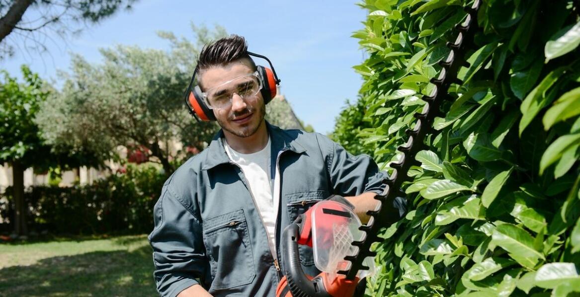 Bezpieczne usuwanie szerszeni gniazd: co warto wiedzieć?