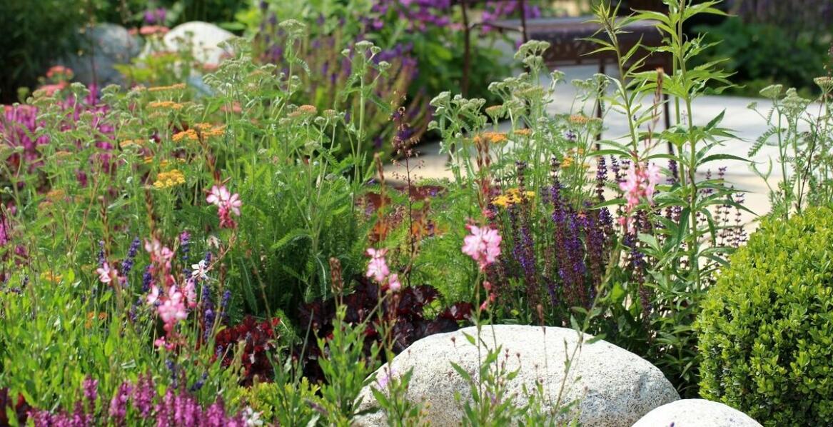 Znaczenie domków dla pszczół w ochronie zapylających owadów