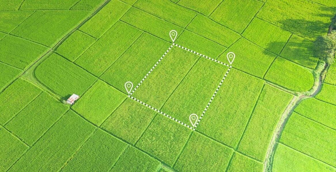 Wytyczenie granic działki a prawna ochrona właściciela nieruchomości