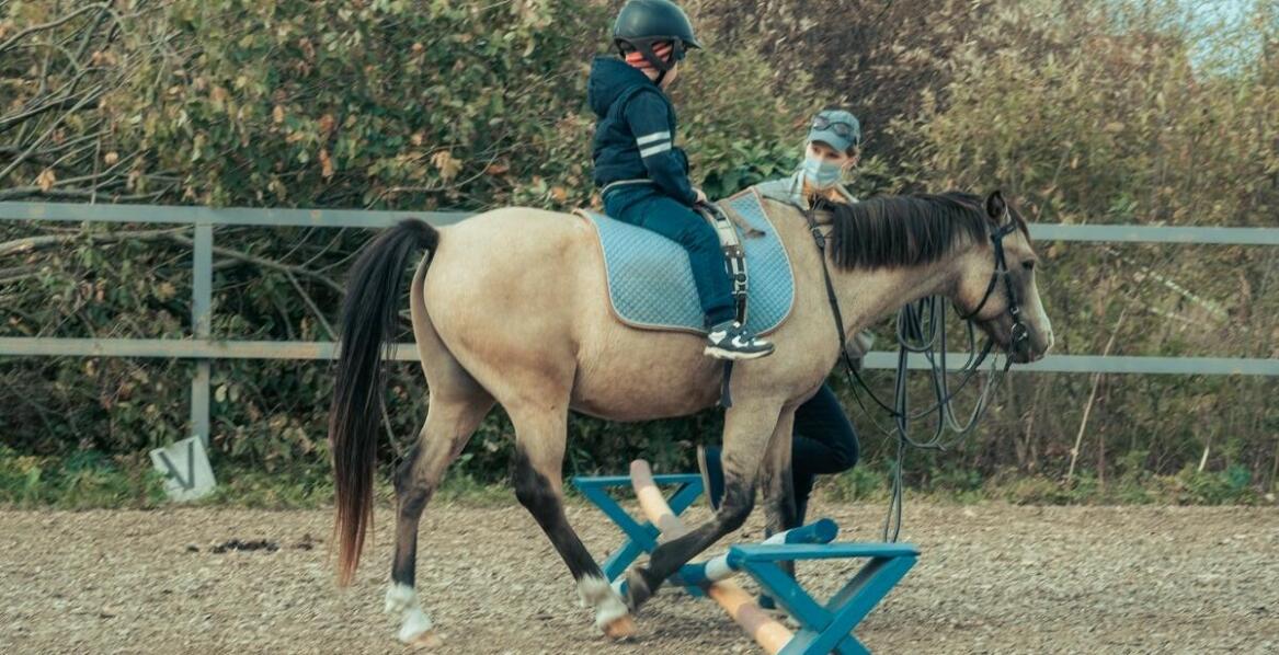Jazda konna dla dzieci w Poznaniu: bezpieczne i zabawne zajęcia