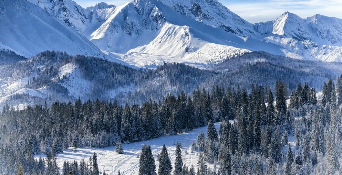 Zimowe konne obozy w Poznaniu: Co warto wiedzieć przed zapisaniem się?