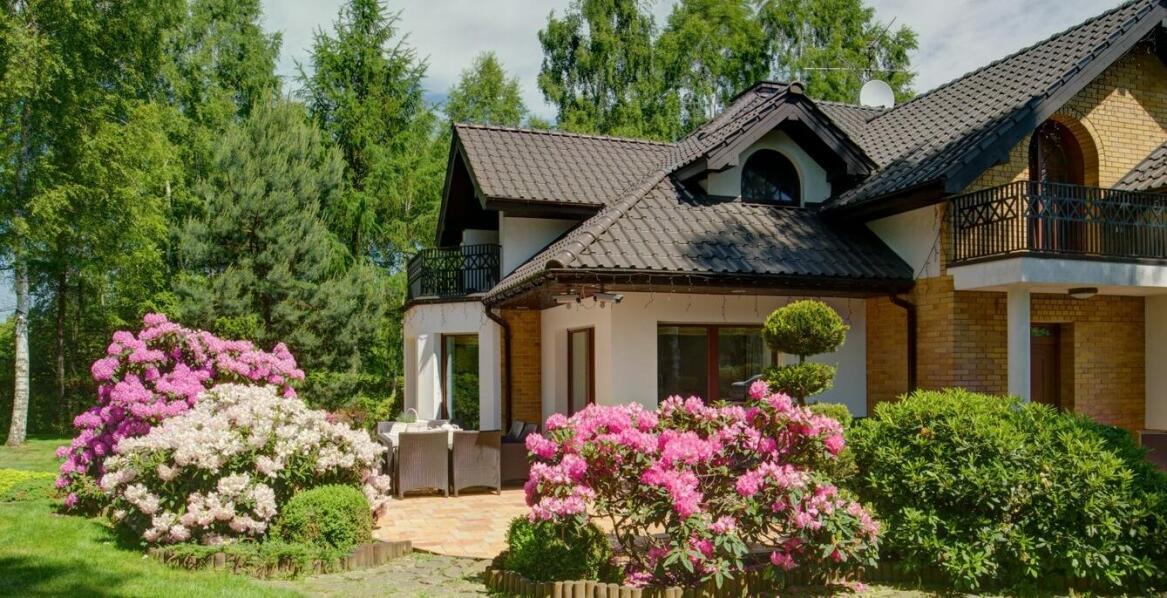 Wpływ ogrodzeń i nasadzeń na estetykę i funkcjonalność działki