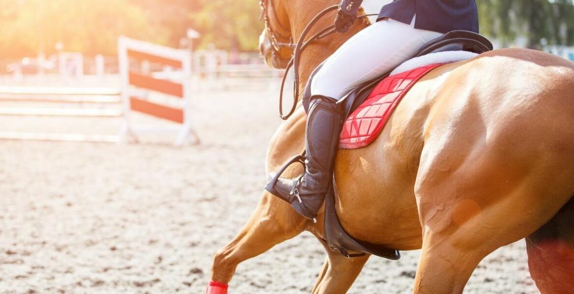Nauka jazdy konnej w Poznaniu: Jakie korzyści przynosi regularny trening?