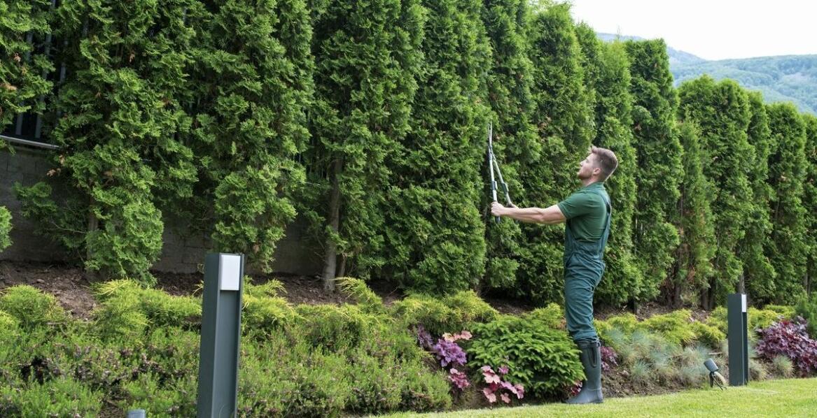 Znaczenie wyceny nieruchomości dla celów ubezpieczeniowych – rola rzeczoznawcy