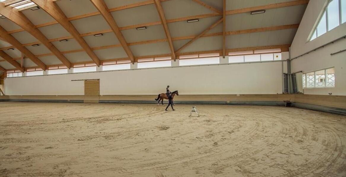 Znaczenie regularnej konserwacji piaskowego podłoża na ujeżdżalniach