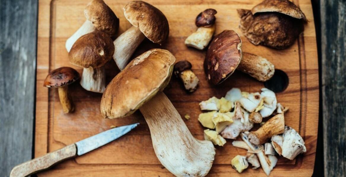 Choosing the Right Polish Mushrooms for Seasonal Dishes