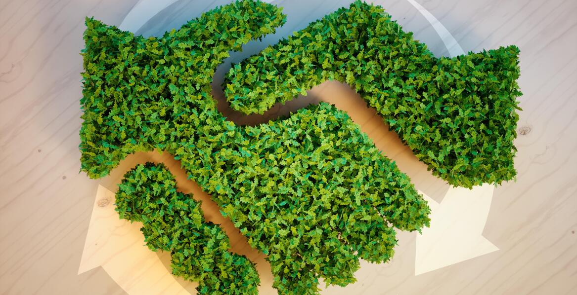 Jak ekologiczny branding buduje zaufanie wśród klientów?