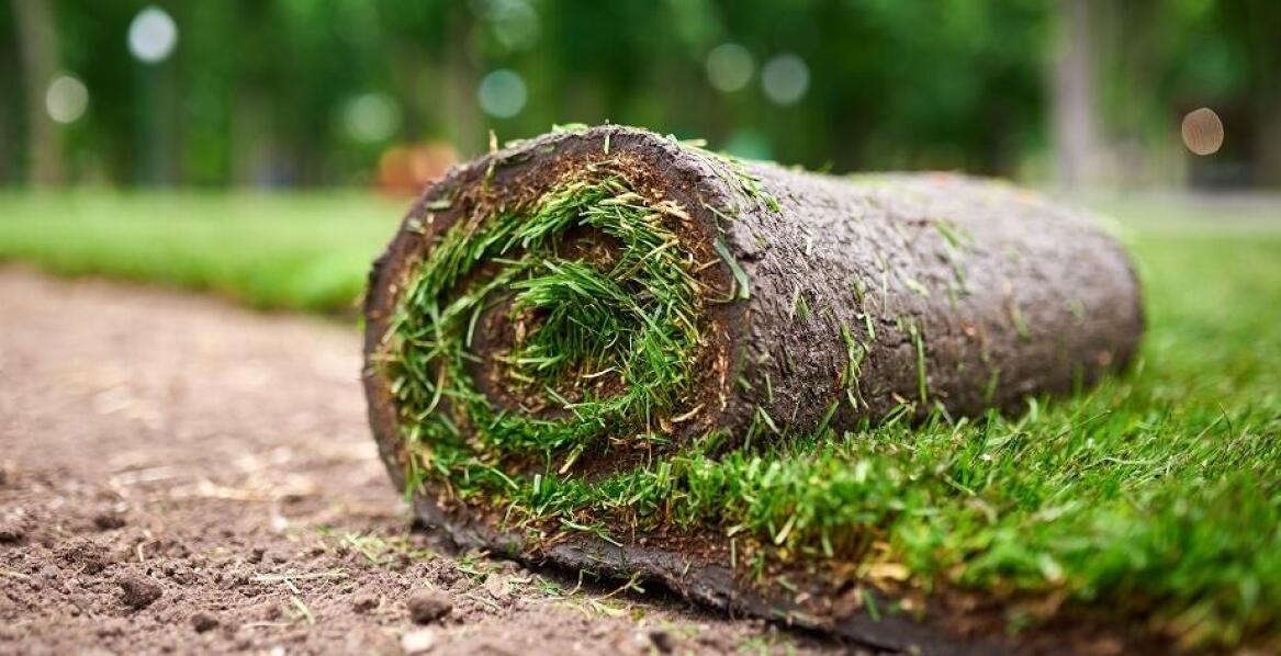 Zastosowanie trawy w rolkach na rekreacyjnych terenach: co warto wiedzieć?