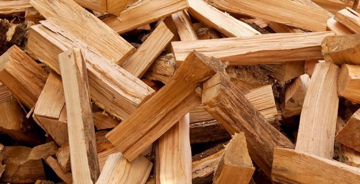 Zrębki liściastych drzew w kontekście zrównoważonego rozwoju przemysłu drzewnego