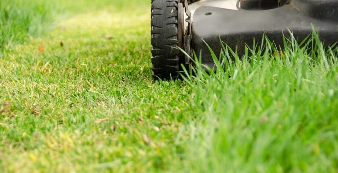 Wybór żyłkowych głowic – co warto wziąć pod uwagę przy zakupie?