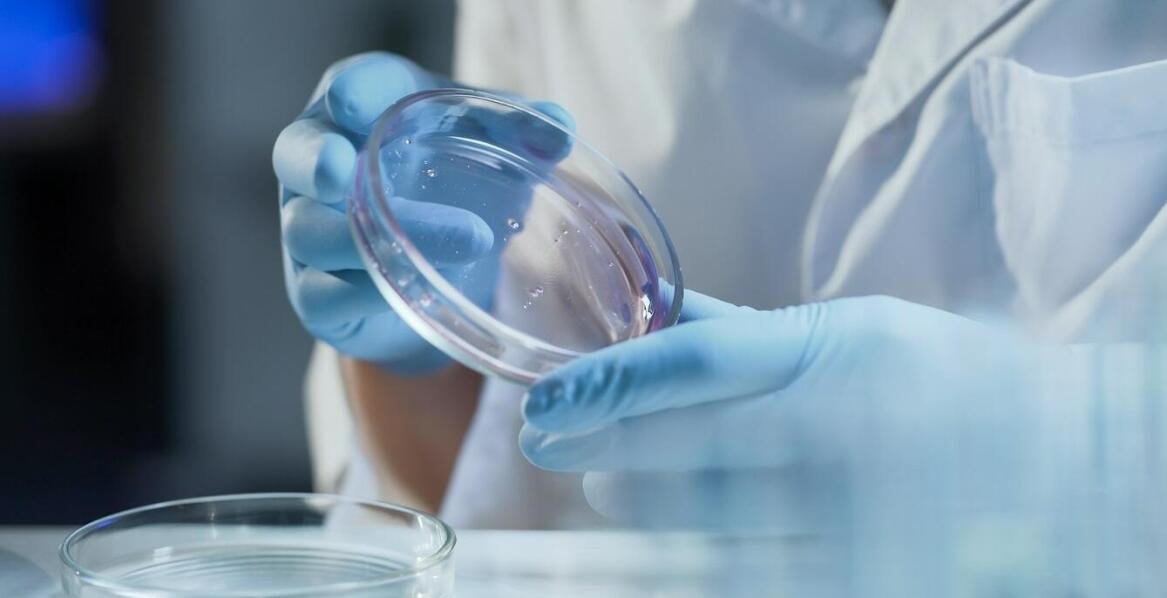 Znaczenie mechanicznej odporności dla efektywności szalek Petriego