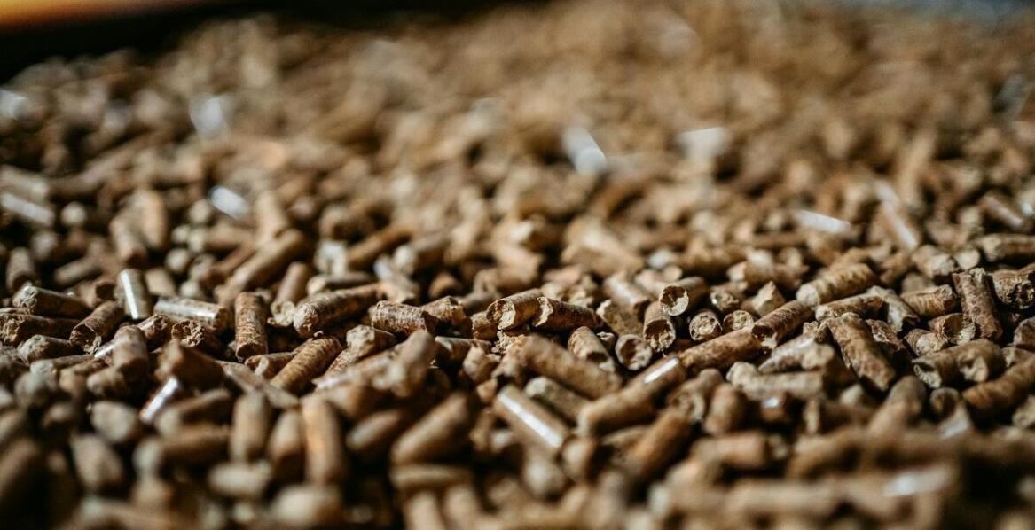 Drewniane trociny: kluczowe korzyści dla środowiska w hodowli zwierząt