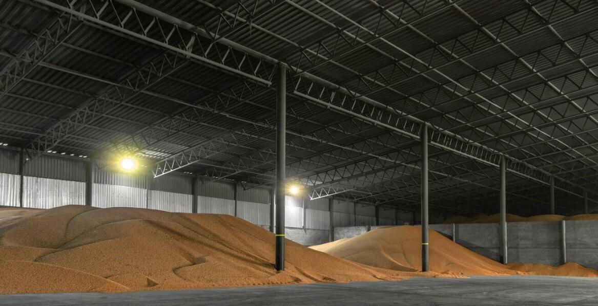 Wpływ jakości magazynowej przestrzeni na proces przechowywania kukurydzy