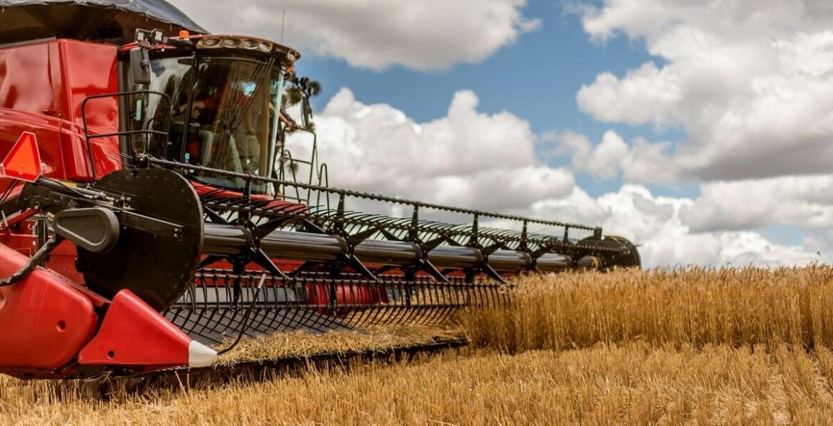 Jakie technologie wspierają działanie nowoczesnych żmijek do zboża?