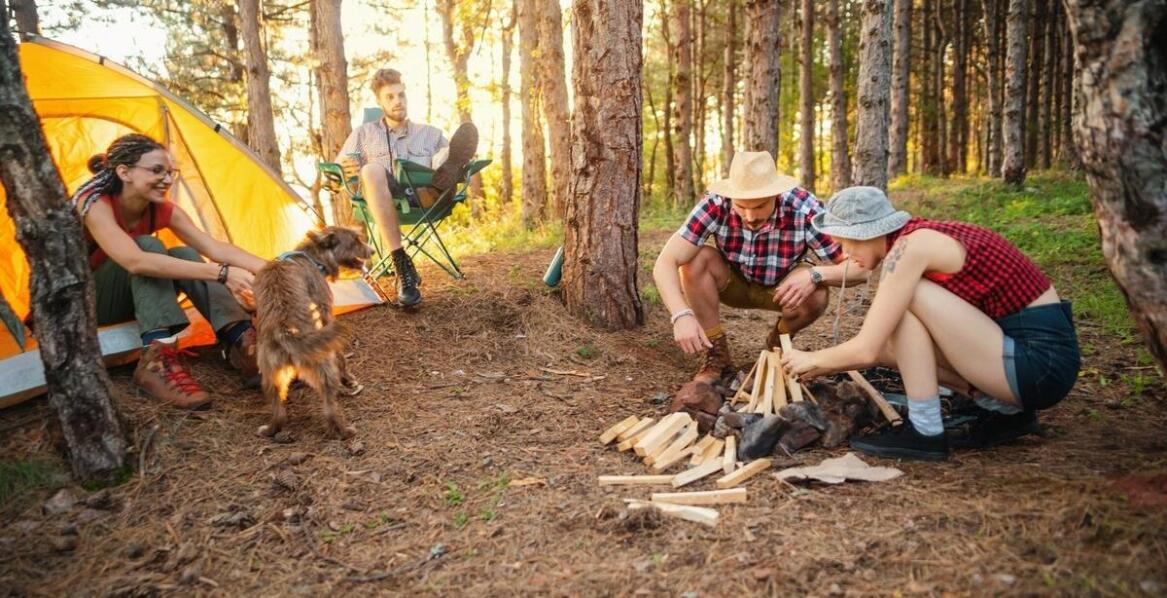 Poznaj nasze pole namiotowe – co oferujemy dla miłośników biwakowania?