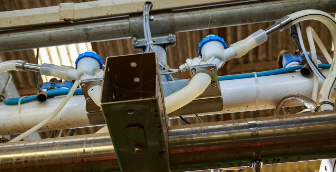 Zastosowanie konstrukcji stalowych w produkcji wag inwentarzowych