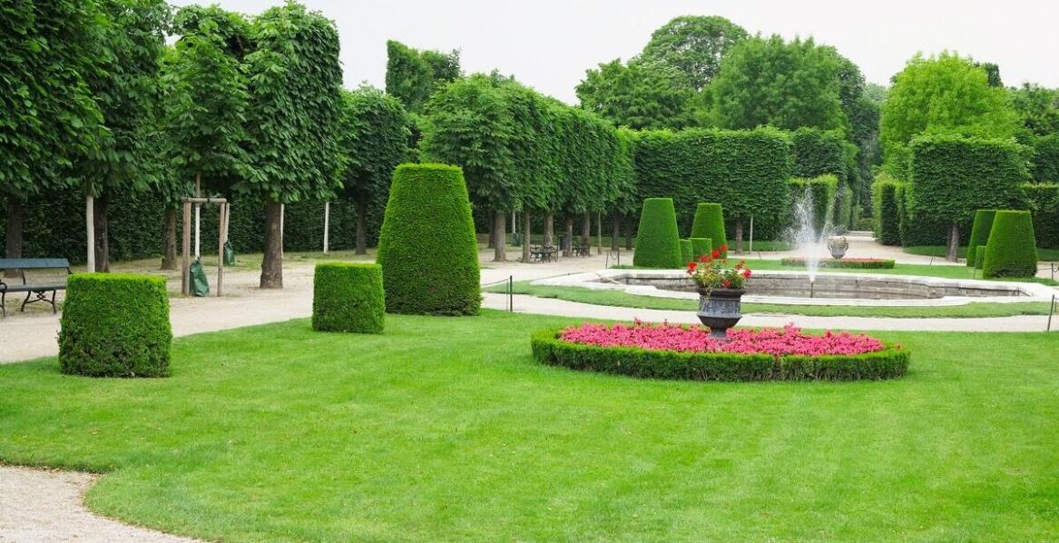 Jak nowoczesne odmiany drzew wpływają na estetykę publicznych przestrzeni?