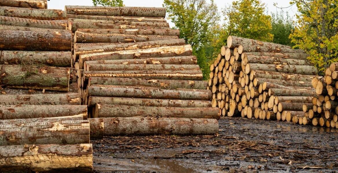 Kluczowe zalety wyboru silosów do trocin w przemyśle drzewnym