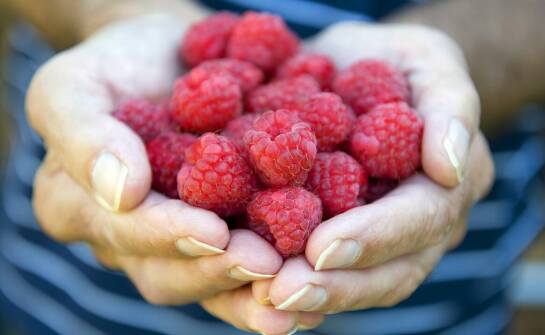Liofilizowana malina jako składnik naturalnych dodatków do żywności: zalety