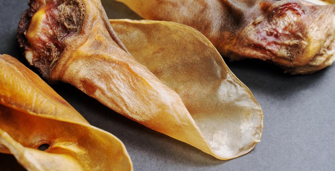 Rola producenta wieprzowych uszu w modernizacji przetwórstwa mięsnego