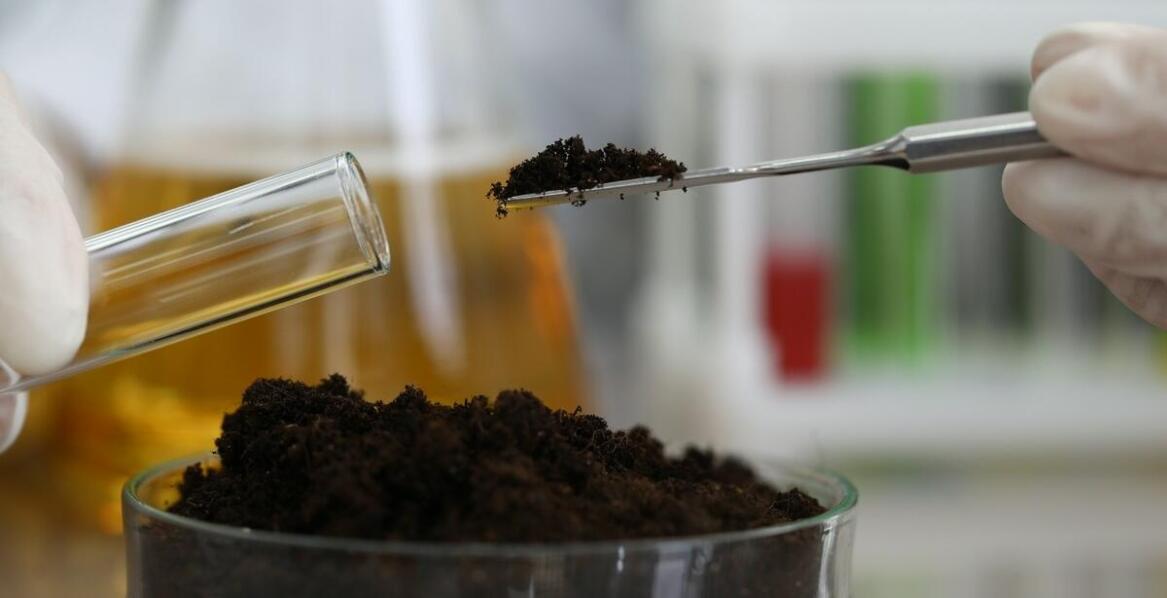 Jak kwasy fulwowe wpływają na metabolizm i trawienne procesy?