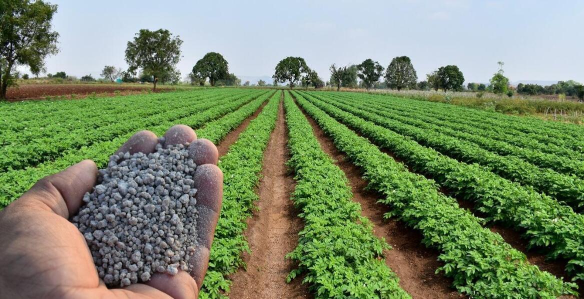 Jak granulowane wapno kredowe wspiera zrównoważone praktyki rolnicze?