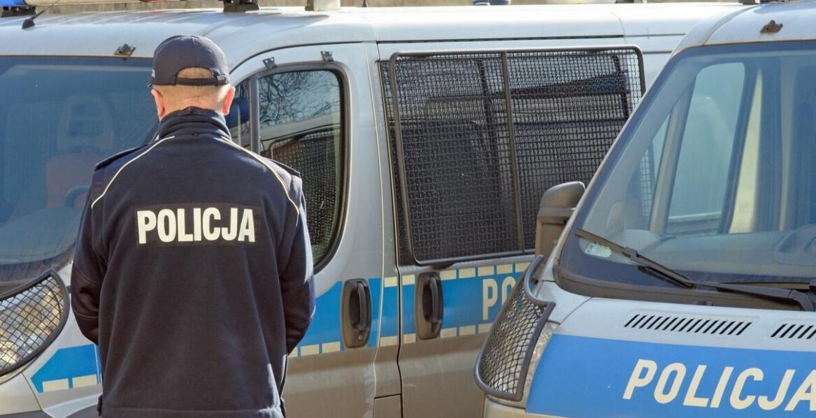 Kompleksowy proces celnej odprawy samochodów importowanych z USA