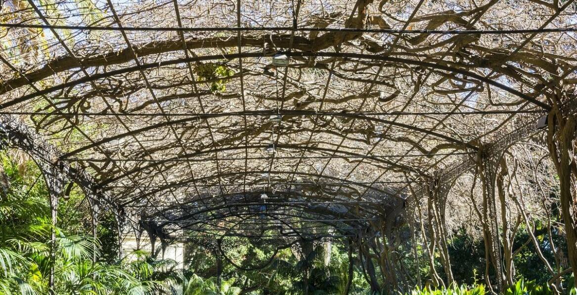 Dekoracyjna podpora do pnących kwiatów w ogrodzie zimowym