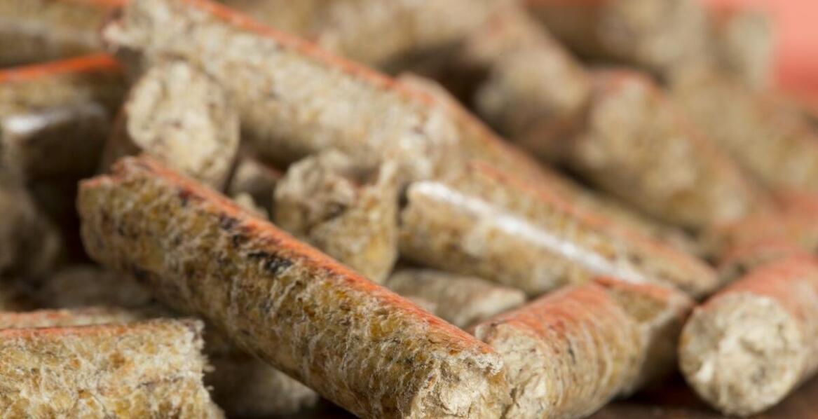 Jak połączenie słodkich i ostrych smaków podbija serca konsumentów?