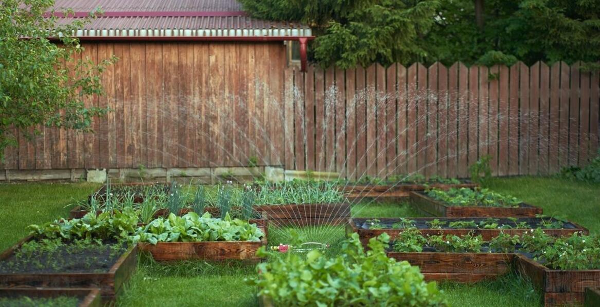 Czy lokalizacja ogrodu wpływa na wybór środka przeciw mrówkom?