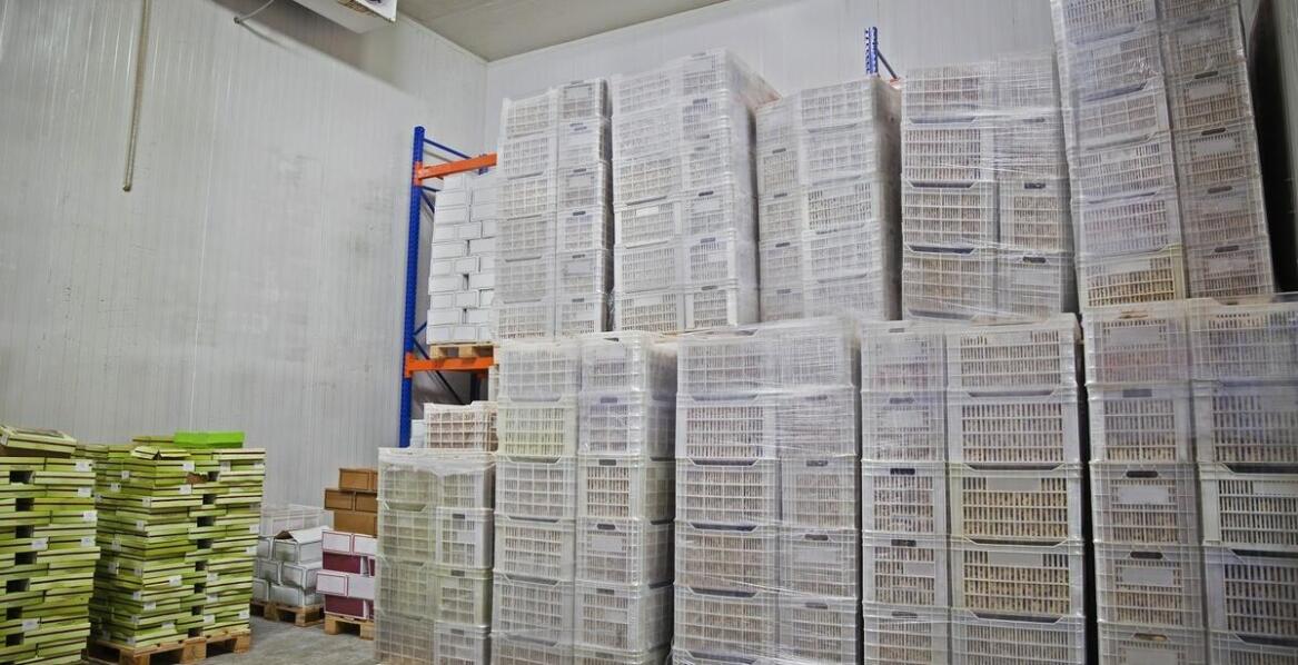 Odporność plastikowych kontenerów na skrajne temperatury w magazynach