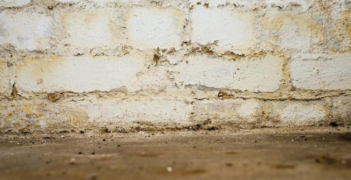 Wpływ oleofobowej impregnacji na zmniejszenie ryzyka wykwitów na elewacjach