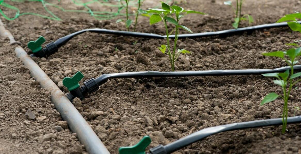 Rola systemów nawadniających w ochronie ogrodowego środowiska
