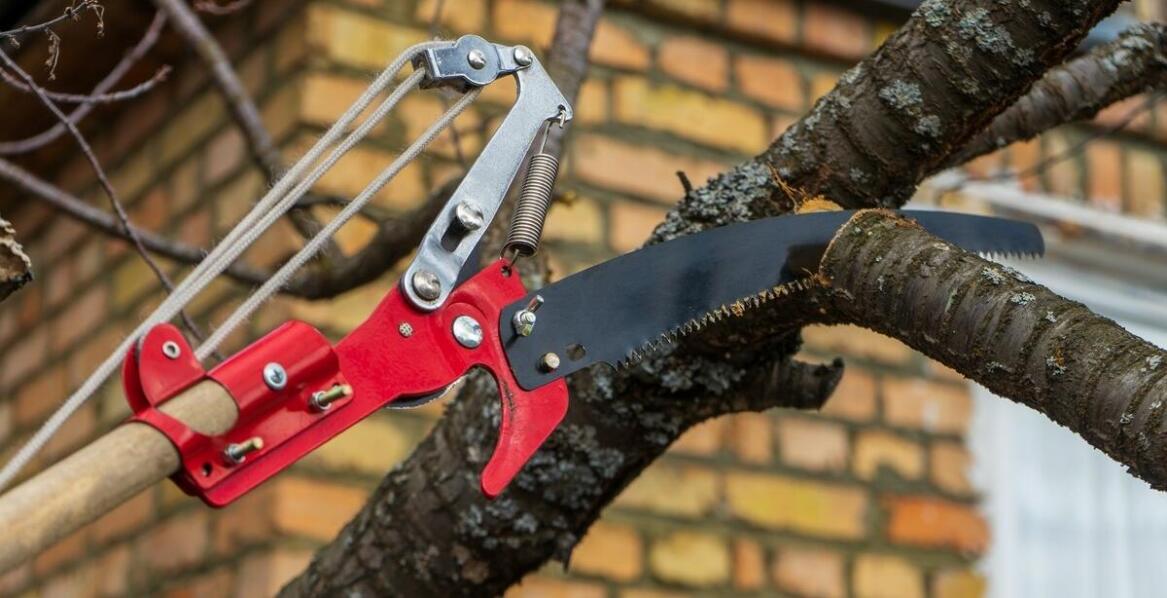 Jakie są korzyści z używania szablastych pił w pracach ogrodowych?