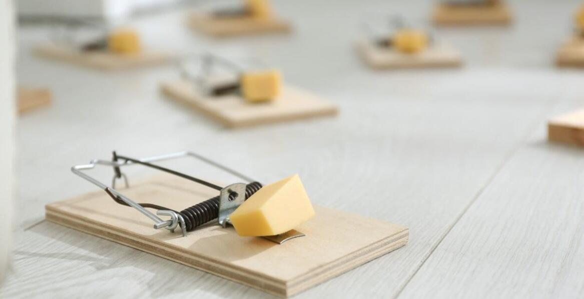 Szwajcarska pułapka na kreta – efektywność w walce ze szkodnikami