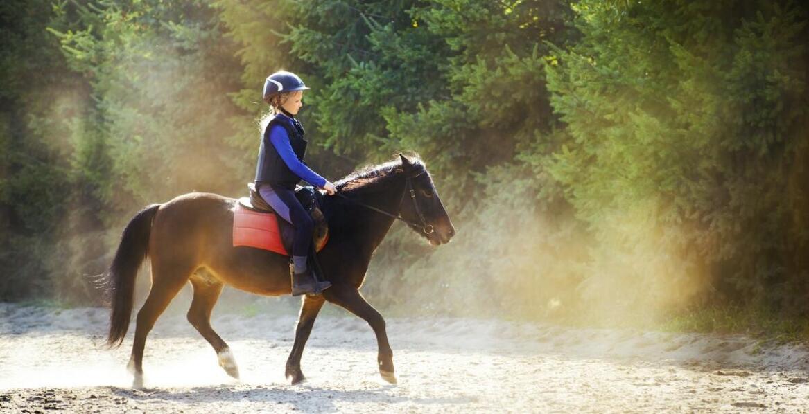 Stadnina koni nad morzem: wyjątkowa atrakcja podczas pobytu w naszym ośrodku.