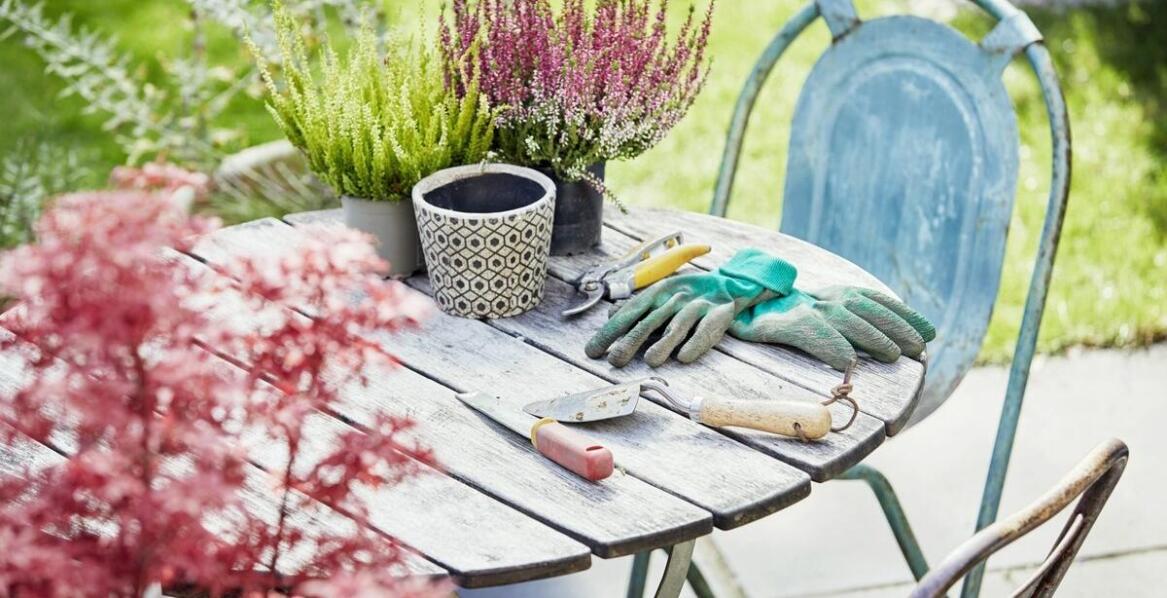 Jak tanie ogrodowe akcesoria mogą wspierać ekologiczne uprawy?